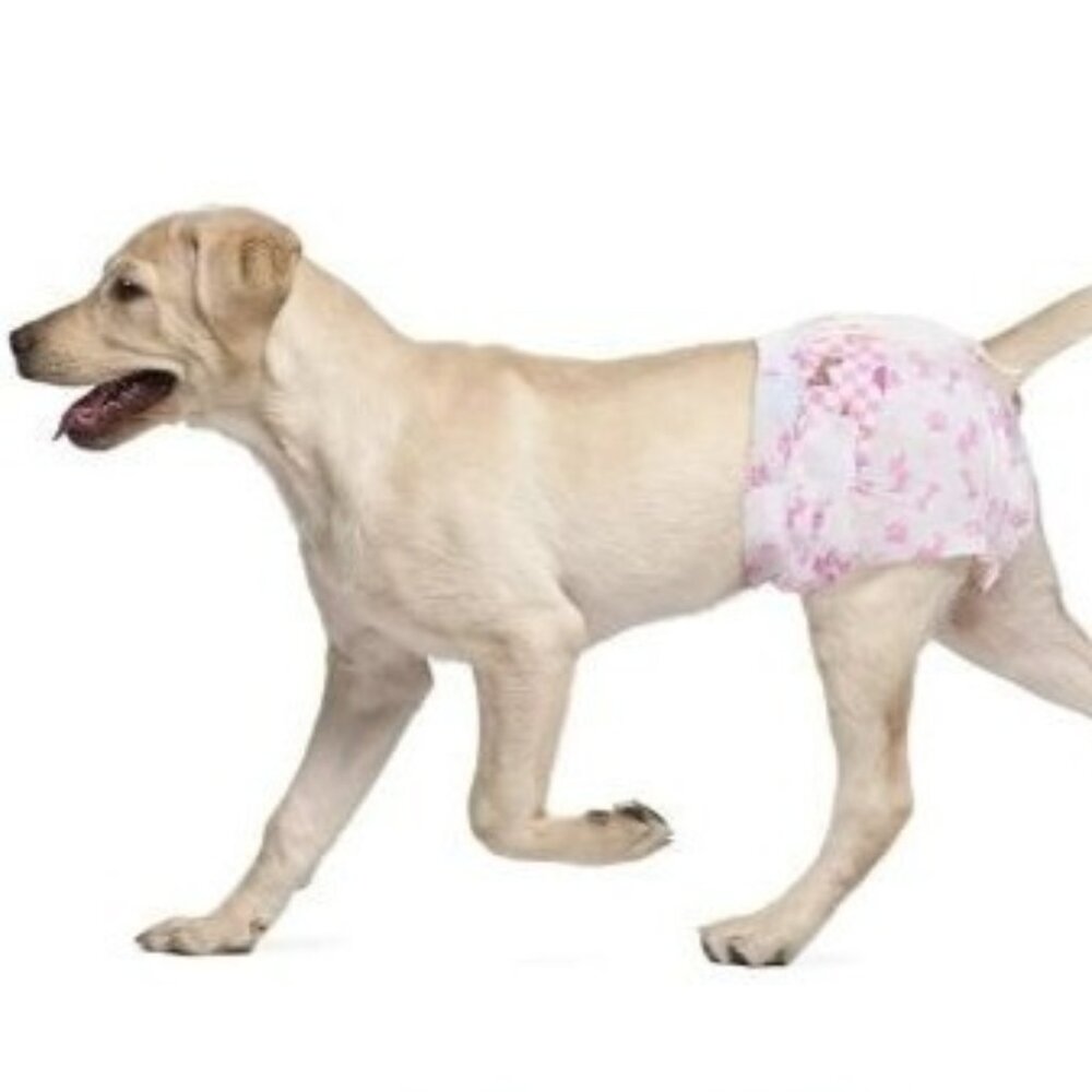 Female Disposable Pet Diapers L Size 12 Pcs For 7-12kg Dogs Large
